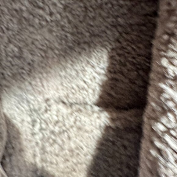 NWT Free People, ASTR the Label Willow Fuzzy Coat, Medium - Picture 8 of 16